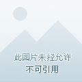 羁绊进化神奇宝贝